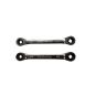 Ringspärrnyckel Med Spärr Torx E10-E12 ProMeister