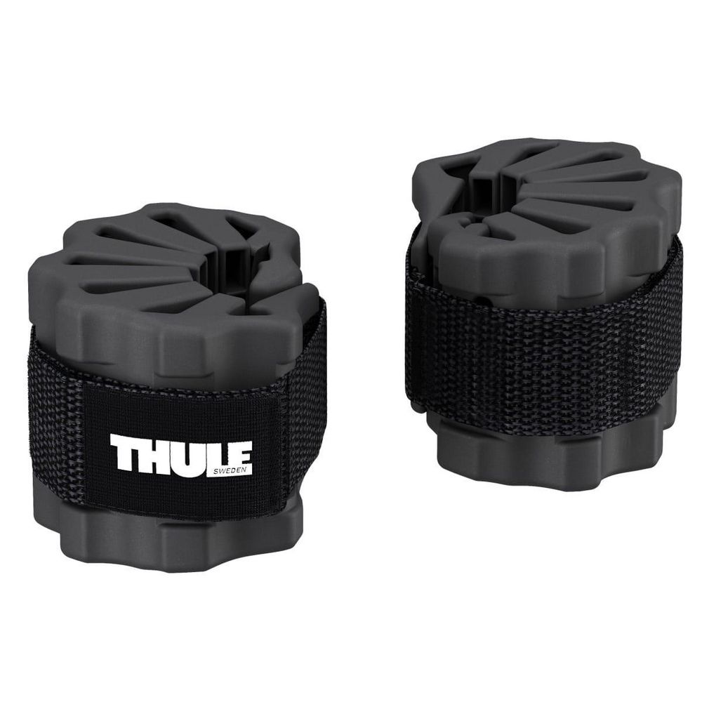 Bike Protector Thule