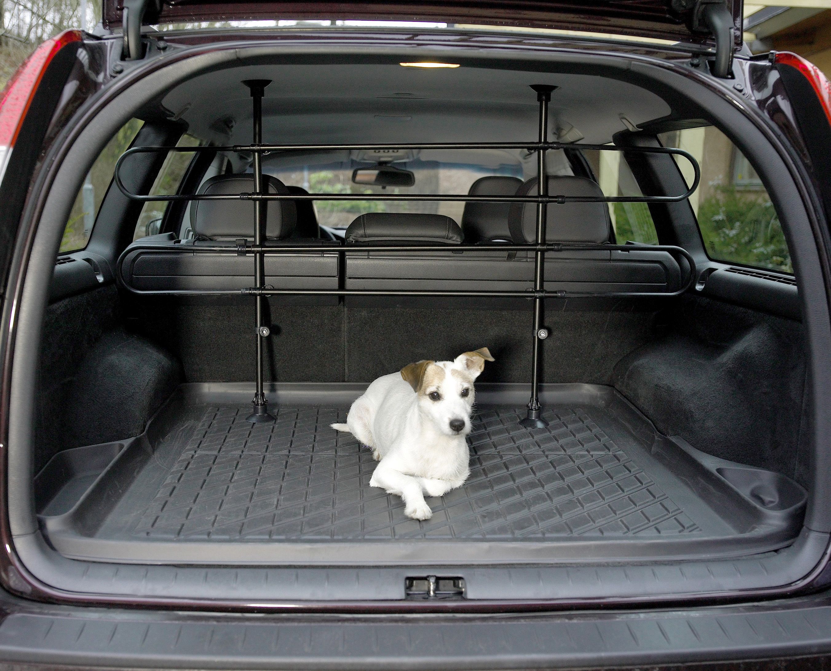 Hundgaller universellt Carwise
