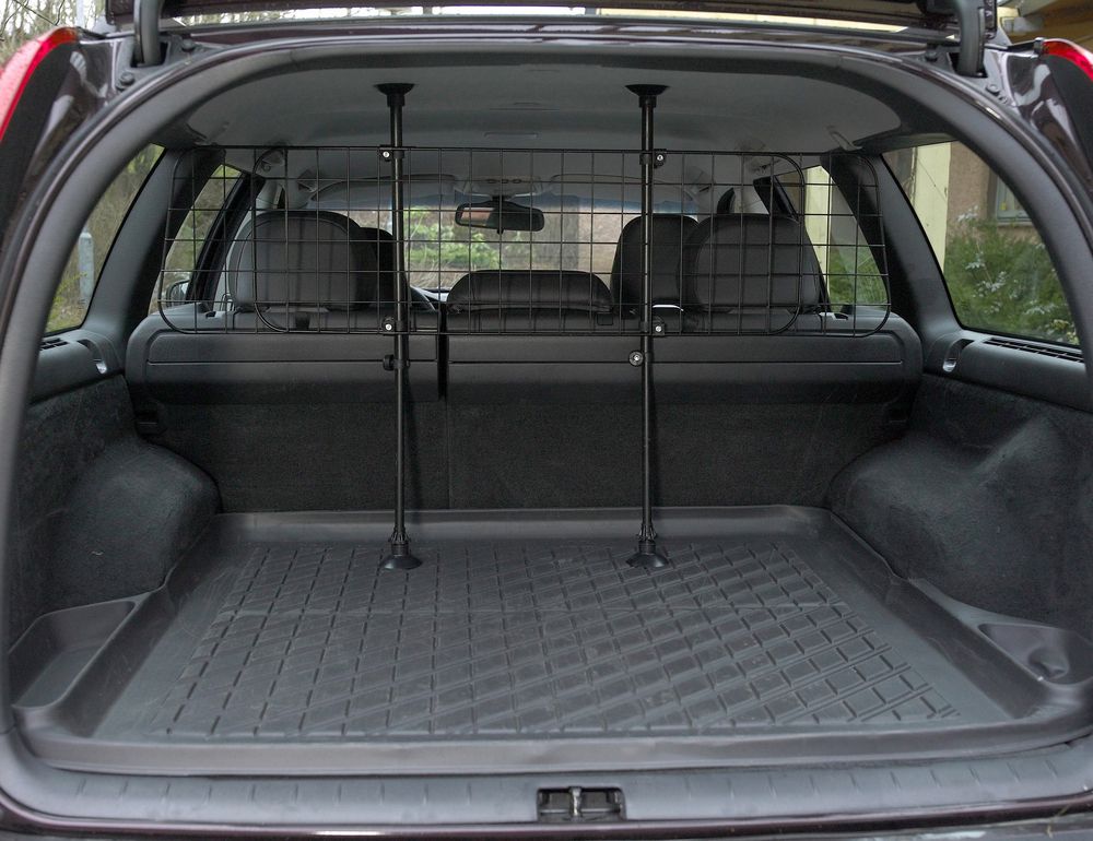 Hundgaller Carwise
